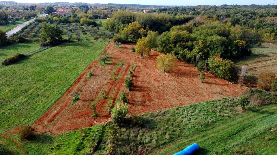 UMAG - SURROUNDINGS - AGRICULTURAL LAND - EXCELLENT OPPORTUNITY