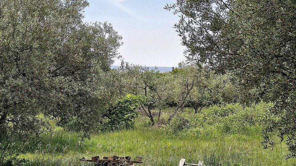 UMAG-ZAMBRATIJA-BAULAND - HIER BEGINNT IHRE GESCHICHTE - BAUEN, LEBEN, GENIESSEN