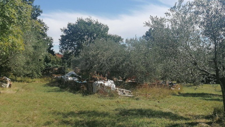 UMAG-ZAMBRATIJA-GRAĐEVINSKO ZEMLJIŠTE-OVDJE NASTAJE VAŠA PRIČA-GRADITE, ŽIVITE, UŽIVAJTE