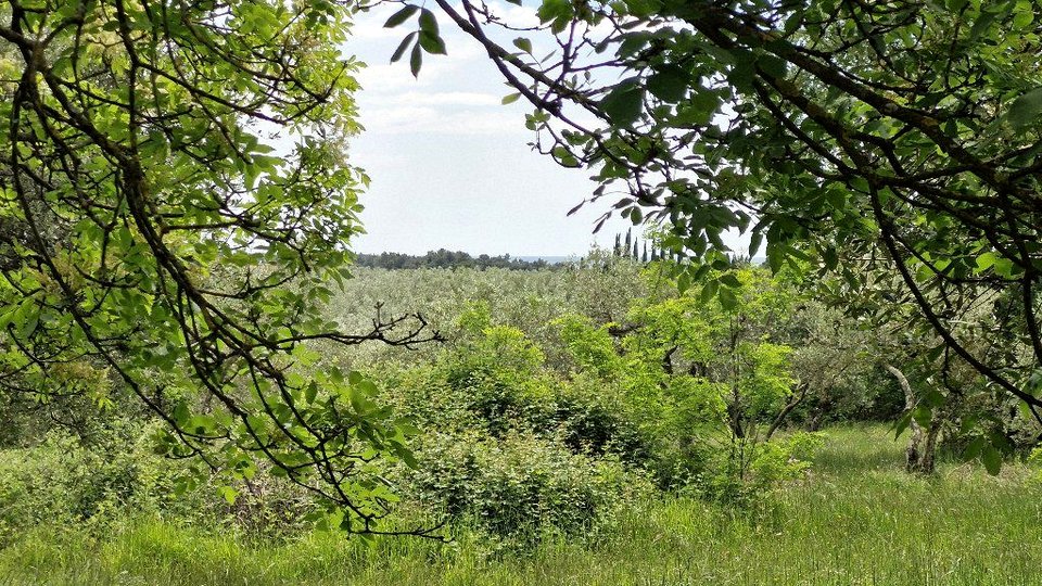 UMAG-ZAMBRATIJA-ZAZIDLJIVO ZEMLJIŠČE - TUKAJ SE ZAČNE VAŠA ZGODBA - GRADITE, ŽIVITE, UŽIVAJTE