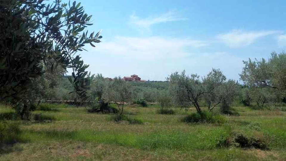 UMAG-ZAMBRATIJA-BAULAND - HIER BEGINNT IHRE GESCHICHTE - BAUEN, LEBEN, GENIESSEN