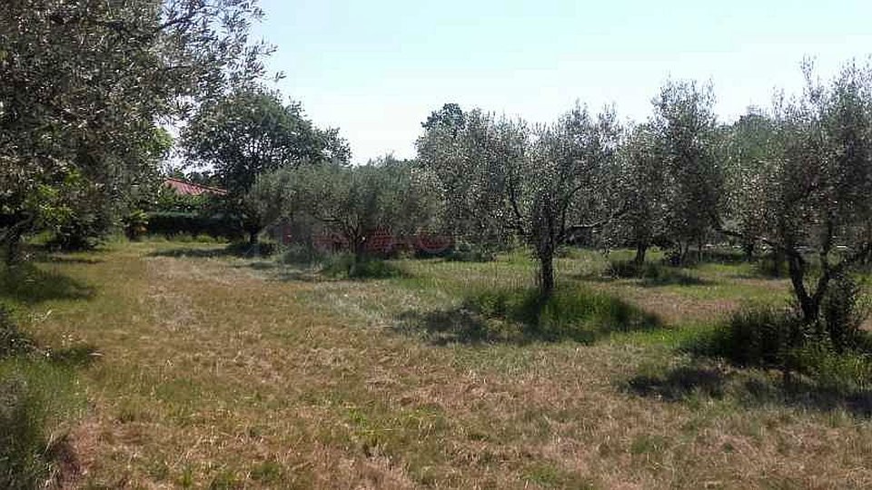 UMAG-ZAMBRATIJA-BAULAND - HIER BEGINNT IHRE GESCHICHTE - BAUEN, LEBEN, GENIESSEN