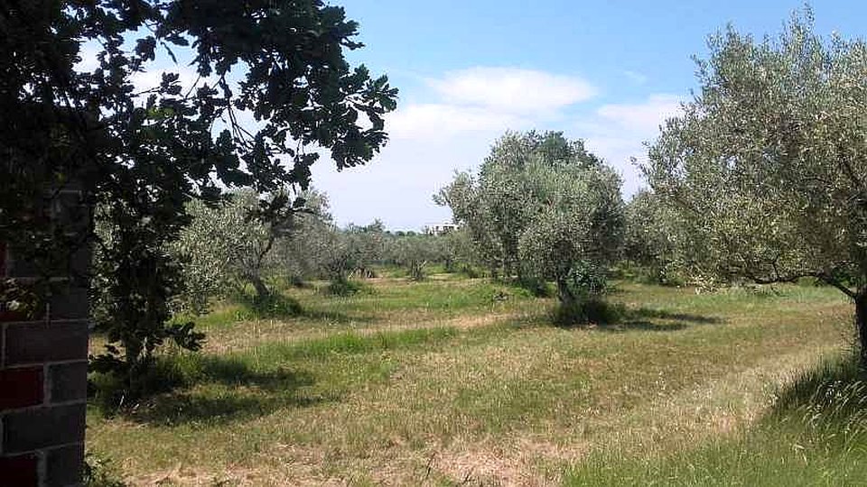 UMAG-ZAMBRATIJA-ZAZIDLJIVO ZEMLJIŠČE - TUKAJ SE ZAČNE VAŠA ZGODBA - GRADITE, ŽIVITE, UŽIVAJTE