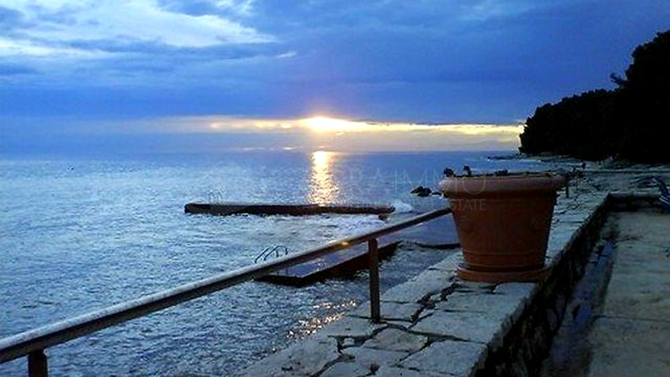 SAVUDRIJA - APARTMENT WITH PRIVATE GARDEN, CLOSE TO THE SEA, AND COMPLETE TRANQUILITY