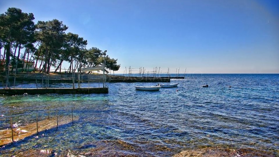 SAVUDRIJA-BAŠANIJA-STANOVANJE Z ZASEBNIM VRTOM, BLIŽINA MORJA IN POPOLN MIR