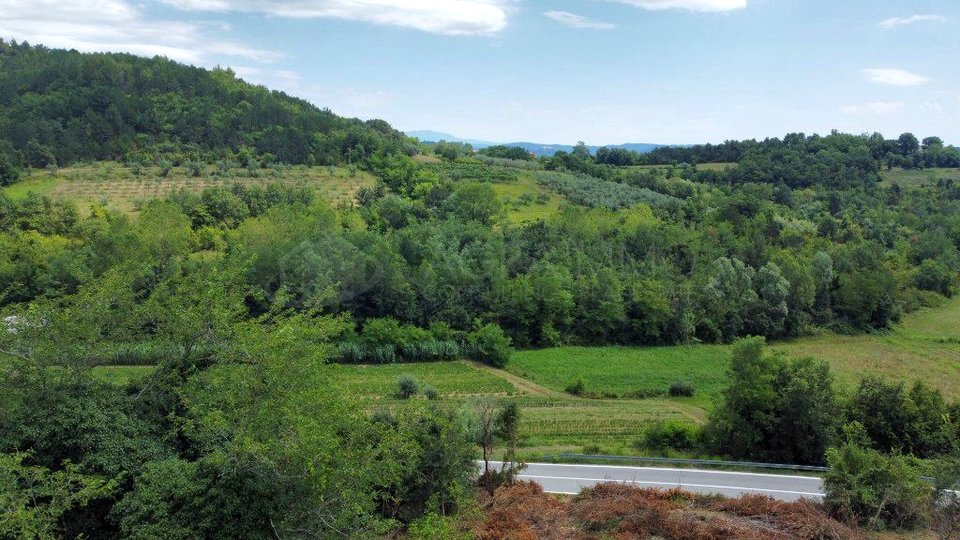 BUJE-KRASICA - ISTARSKE KAMENE KUĆE S IDEJNIM PROJEKTOM I VELIKIM POTENCIJALOM