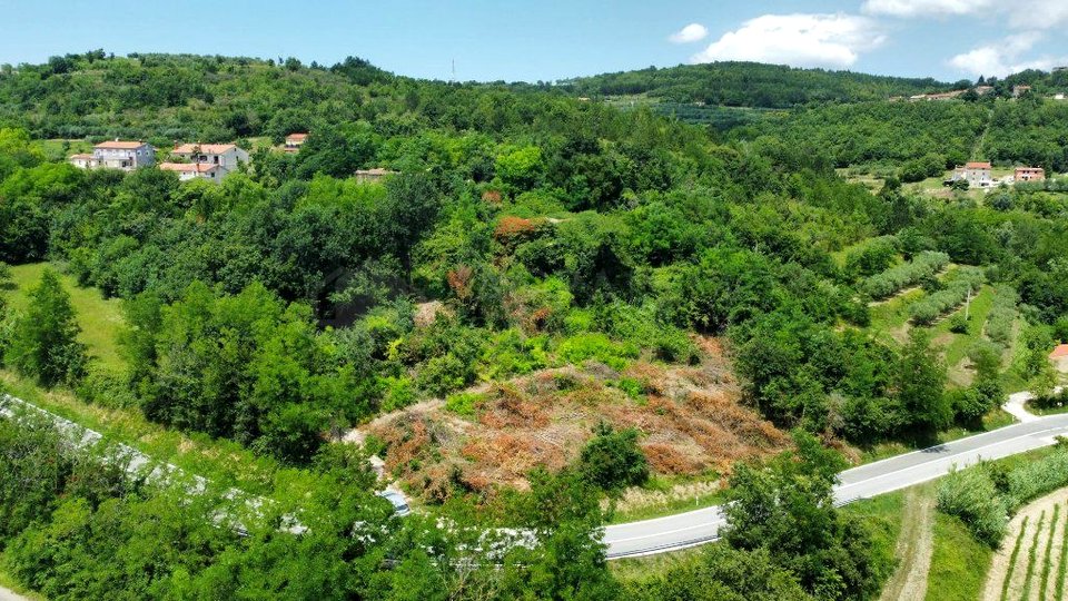 BUJE-KRASICA - ISTRSKE KAMNITE HIŠE Z IDEJNIM PROJEKTOM IN VELIKIM POTENCIALOM