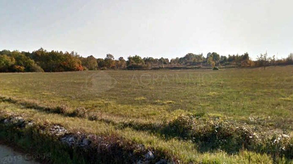 Land, 680 m2, For Sale, Buje - Momjan