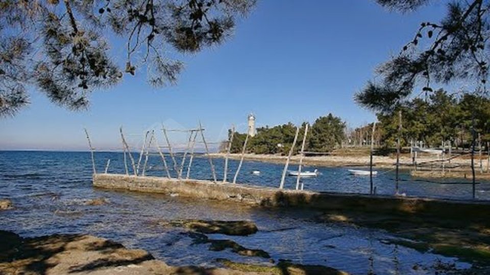 SAVUDRIJA-BAŠANIJA - PROSTORNO STANOVANJE - IZJEMNA PRILOŽNOST ZA ŽIVLJENJE IN POČITNICE